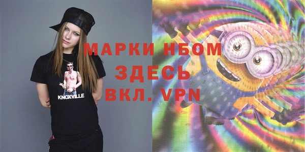 дживик Краснослободск
