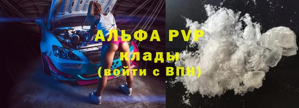 дживик Краснослободск