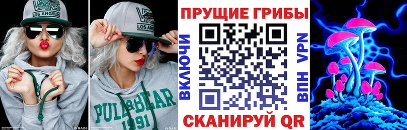 ОМГ ОМГ зеркало  Кохма  Галлюциногенные грибы ЛСД 